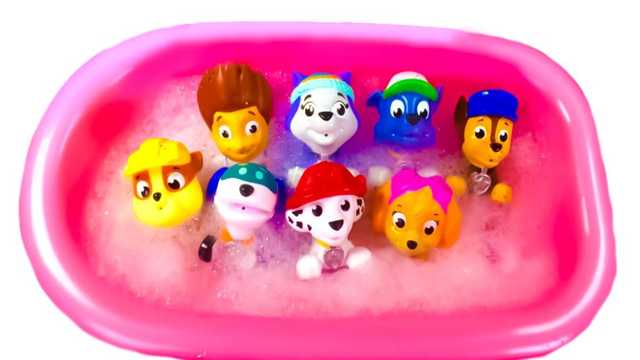 Dog toys for the big bath