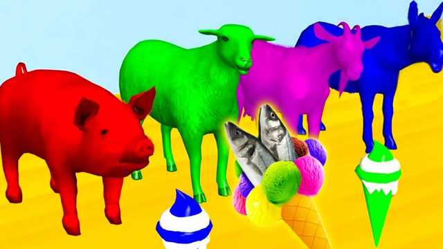 🐷Spot these colorful animals