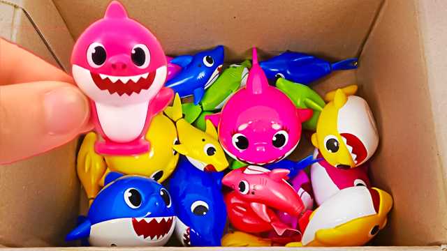 Having fun with shark toy