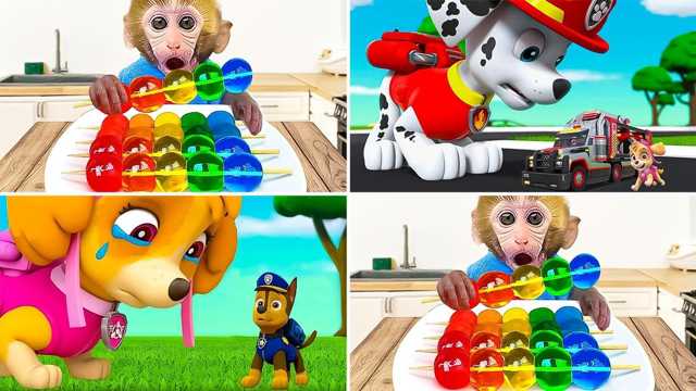 ฮีโร่ PAW Patrol ช่วยโลก!